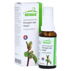 GEMMOMAZERAT Corylus avellana Spray (PZN 13306166)