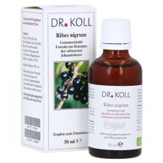 Gemmoextrakt Schwarze Johannisbeere Tropfen (PZN 09762510)