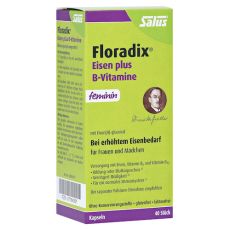 Floradix Eisen plus B Vitamine Kapseln (PZN 07764261)