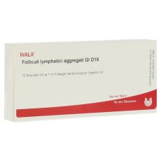 FOLLICULI LYMPHATICI aggregati GL D 15 Ampullen (PZN 02876498)