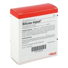 SILICEA INJEEL Ampullen (PZN 00935593)