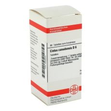 CISTUS CANADENSIS D 6 Tabletten (PZN 02628530)