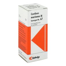 SYNERGON KOMPLEX 67 Carduus marianus N Tropfen (PZN 03574807)