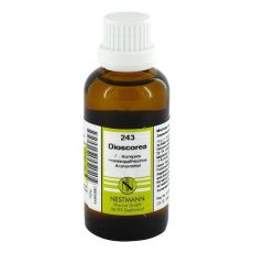 DIOSCOREA F Komplex Nr.243 Dilution (PZN 04484880)