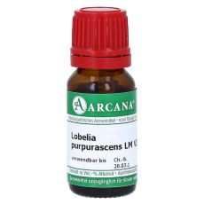 LOBELIA PURPURASCENS LM 6 Dilution (PZN 13534246)