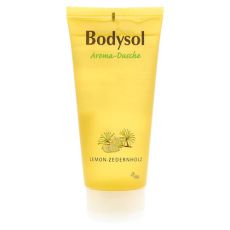 BODYSOL Aroma Duschgel Lemon Zedernholz (PZN 09001343)