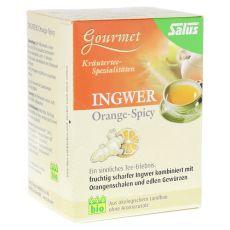 INGWER ORANGE Spicy Tee Salus Filterbeutel (PZN 09003980)