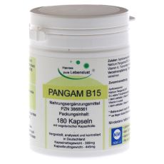 PANGAM Vitamin B15 Vegi Kapseln (PZN 03868561)