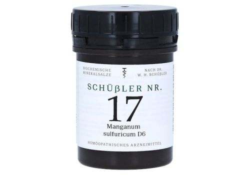 SCHÜSSLER Nr.17 Manganum sulfuricum D 6 Tabletten – PZN 11031883 (PZN 11031883)