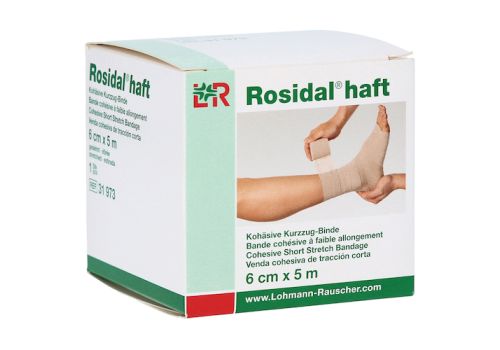 ROSIDAL haft Kompressionsbinde 6 cmx5 m – PZN 10111462 (PZN 10111462)