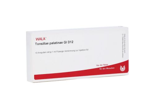 TONSILLAE palatinae GL D 12 Ampullen – PZN 03354081 (PZN 03354081)