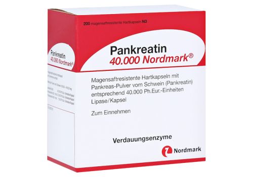 Pankreatin 40000 Nordmark – PZN 13649624 (PZN 13649624)