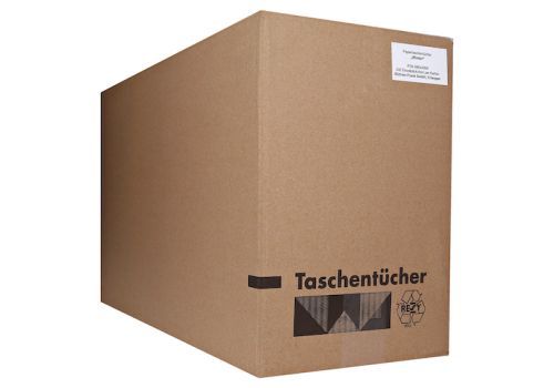 TASCHENTÜCHER Motiv Winter – PZN 08644369 (PZN 08644369)