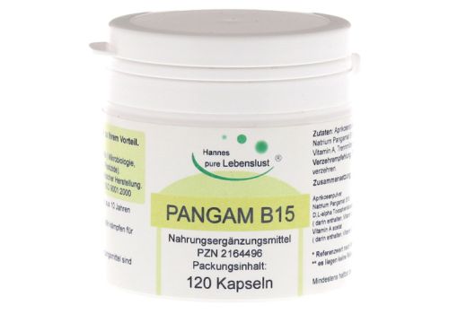 PANGAM Vitamin B15 Kapseln – PZN 02164496 (PZN 02164496)