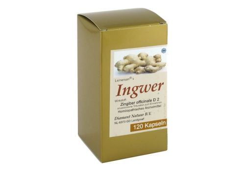 INGWER KAPSELN – PZN 01316395 (PZN 01316395)