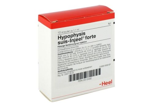 HYPOPHYSIS SUIS Injeel forte Ampullen – PZN 00513490 (PZN 00513490)