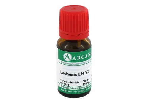 LACHESIS LM 6 Dilution – PZN 02602588 (PZN 02602588)