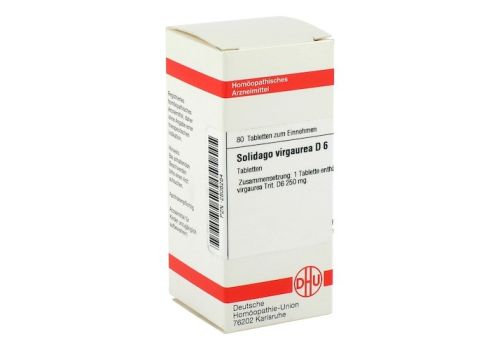 SOLIDAGO VIRGAUREA D 6 Tabletten – PZN 02808284 (PZN 02808284)