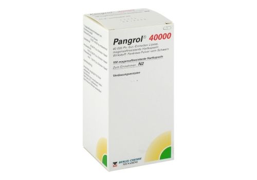 Pangrol 40000 – PZN 02537833 (PZN 02537833)