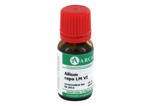 ALLIUM CEPA LM 6 Dilution – PZN 02600336 (PZN 02600336)