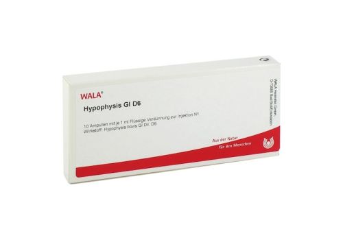 HYPOPHYSIS GL D 6 Ampullen – PZN 02829493 (PZN 02829493)