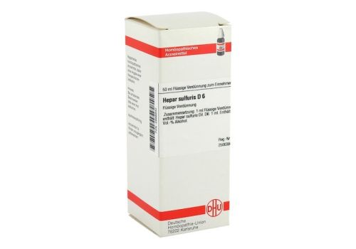 HEPAR SULFURIS D 6 Dilution – PZN 02888840 (PZN 02888840)