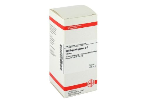 SOLIDAGO VIRGAUREA D 6 Tabletten – PZN 02931524 (PZN 02931524)