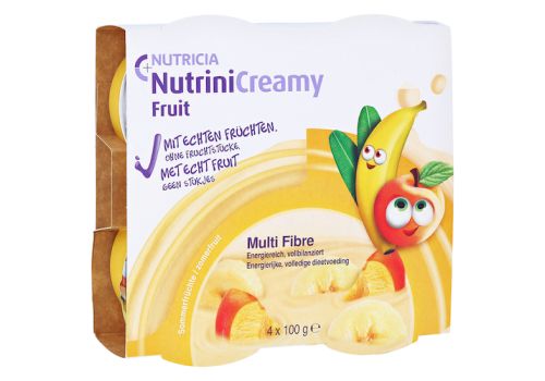 NUTRINI Creamy Fruit Sommerfrüchte – PZN 10356057 (PZN 10356057)