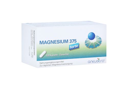 MAGNESIUM 375 forte Kapseln – PZN 10057840 (PZN 10057840)