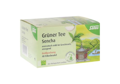 GRÜNER TEE Bio Salus Filterbeutel Großpackung – PZN 00249840 (PZN 00249840)