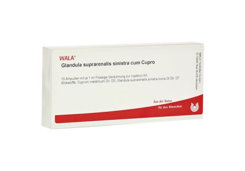 GLANDULA SUPRARENALIS sinistra cum Cupro Ampullen – PZN 01751524 (PZN 01751524)