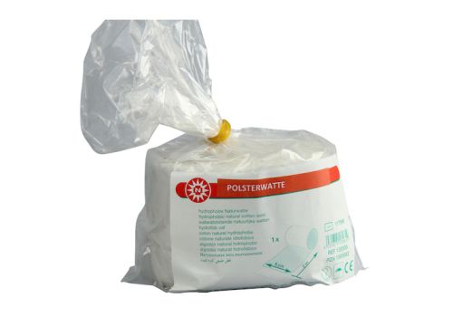 POLSTERWATTE gerollt 6 cmx2 m – PZN 01985682 (PZN 01985682)