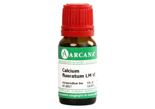 CALCIUM FLUORATUM LM 6 Dilution – PZN 07539469 (PZN 07539469)