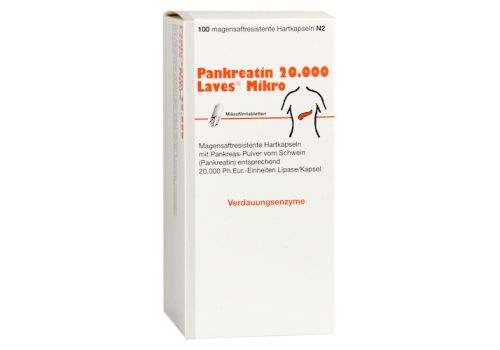 Pankreatin 20000 Laves Mikro – PZN 09385817 (PZN 09385817)