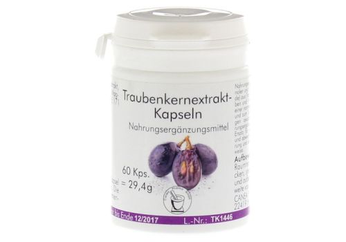 TRAUBENKERNEXTRAKT Kapseln – PZN 00819786 (PZN 00819786)