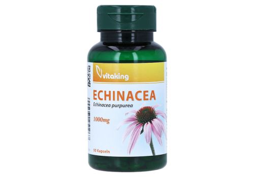 ECHINACEA 1000 mg Kapseln – PZN 15571079 (PZN 15571079)