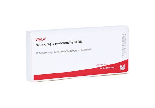 RENES REGIO pyelorenalis GL D 6 Ampullen – PZN 03354804 (PZN 03354804)