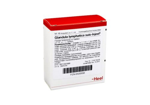 GLANDULA LYMPHATICA suis Injeel Ampullen – PZN 00420558 (PZN 00420558)