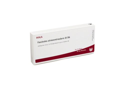 FASCICULUS atrioventricularis GL D 6 Ampullen – PZN 02829955 (PZN 02829955)