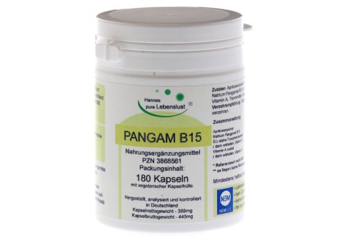 PANGAM Vitamin B15 Vegi Kapseln – PZN 03868561 (PZN 03868561)