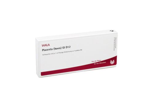 PLACENTA BOVIS GL D 12 Ampullen – PZN 03353377 (PZN 03353377)