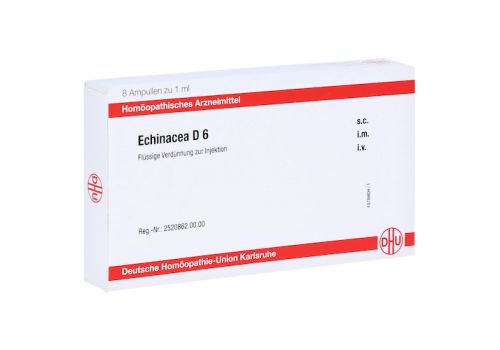 ECHINACEA D 6 Ampullen – PZN 11705755 (PZN 11705755)