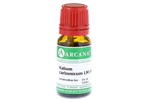 KALIUM CARBONICUM LM 18 Dilution – PZN 07540739 (PZN 07540739)