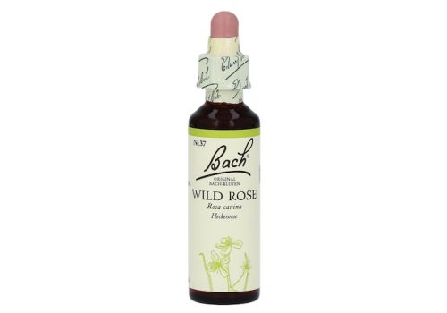 Bachblüten Wild Rose Tropfen – PZN 00170127 (PZN 00170127)