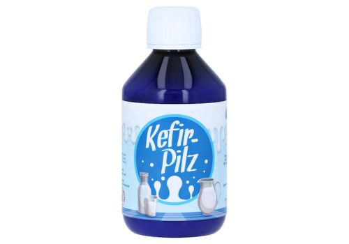 KEFIR Pilz zur Bereitung aus Milch – PZN 12426537 (PZN 12426537)