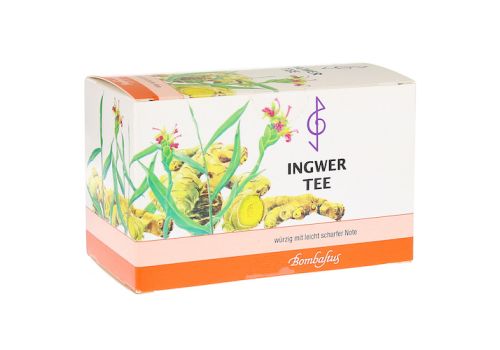 INGWER TEE Filterbeutel – PZN 06902703 (PZN 06902703)