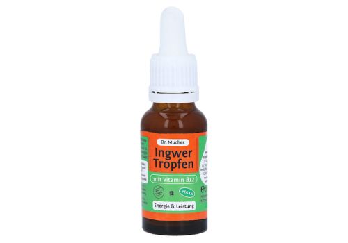 INGWERTROPFEN+Vitamin B12 Dr.Muches – PZN 14291107 (PZN 14291107)