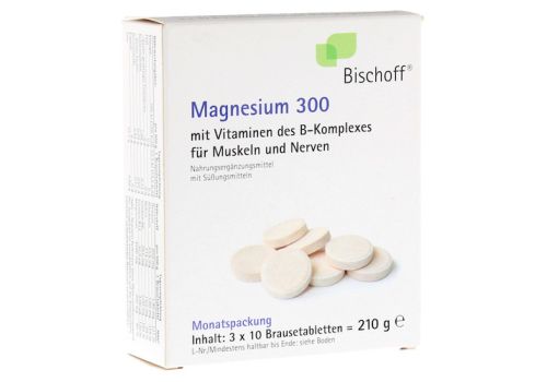 MAGNESIUM BRAUSETABLETTEN 300 – PZN 03024544 (PZN 03024544)